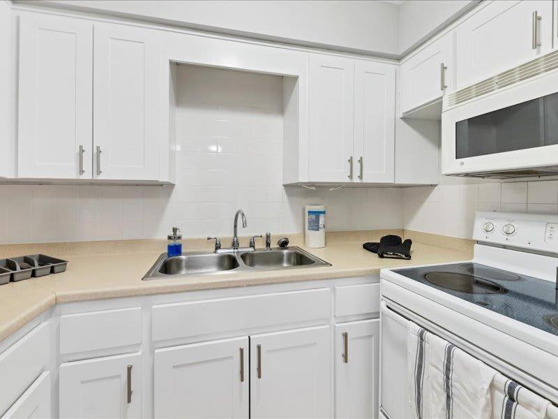 Designed And Cozy 1Br With Parking Near Stores Apartment Tampa Luaran gambar